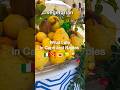 What I Ate In Naples And Capri As A Vegetarian Shorts Whatieatinaday Italy Food Pizza