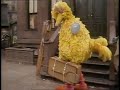 0956 Big Bird Has To Move