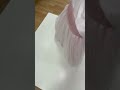Video: Vestido de Ceremonia y Arras niña EVA MARTINEZ ARTESANIA modelo 40511