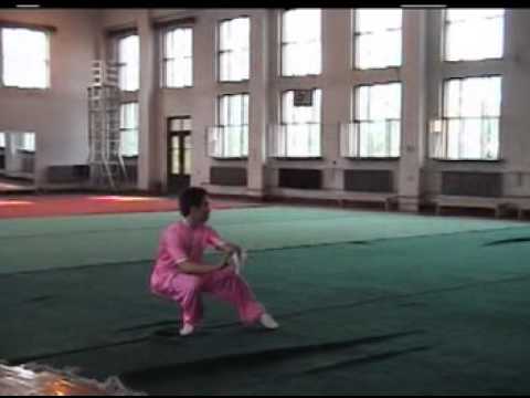 wentao li wushu Basic movements