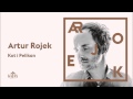 Artur Rojek - Kot i Pelikan (Official Audio) 
