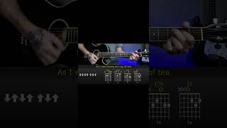 Animal Instinct - The Cranberries | Guitar Lesson Tutorial with Chords/Tabs and Lyrics