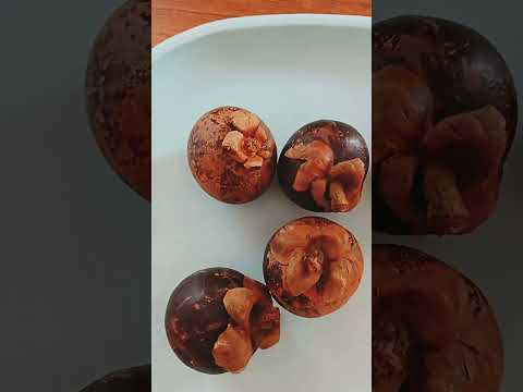 I tried this different fruit mangosteen soooo sweet and delicious 😋