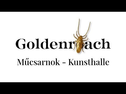 GOLDENROACH / MŰCSARNOK-KUNSTHALLE, BUDAPEST