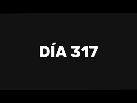 DÍA 317
