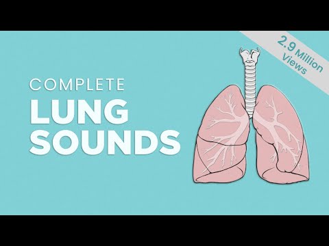 Lung sounds - Breath sounds Types & Causes