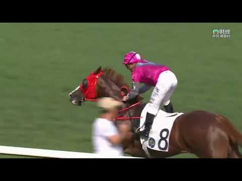 2022/23 (679) - Ka Ying Spirit (嘉應精神) - 潘明輝賽日中三元