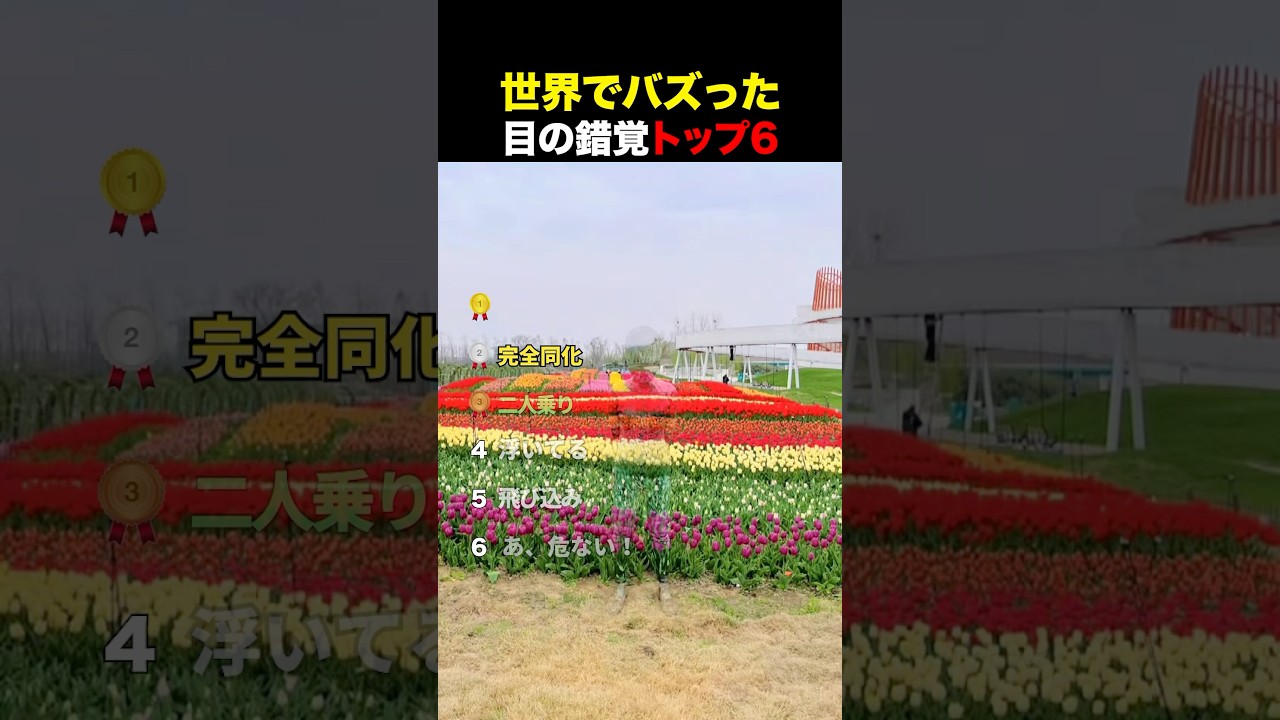 世界でバズった目の錯覚