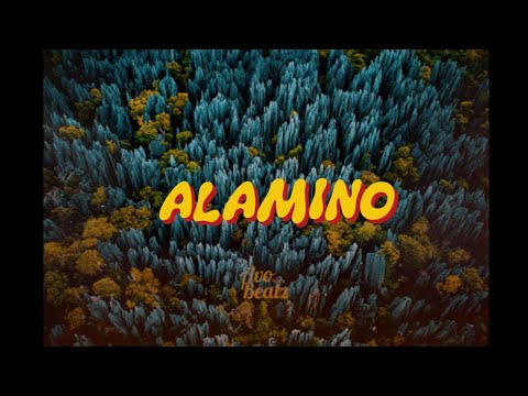 Salegy 2025 "Alamino" ( Saramba Tribute ) l Prod Instru by Avo'OnThaBeaTz