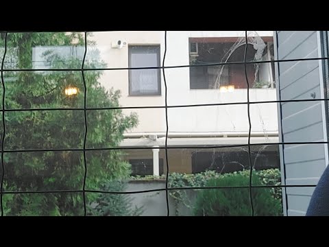 Laguna Alb - Magic Champions(amical)