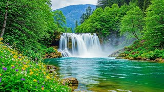 Beautiful Relaxing Music – Stop Overthinking, Find Inner Peace & Emotional Healing Sounds💧🕊️