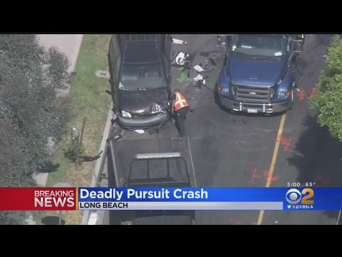 Woman, 4 Dogs Killed In Pursuit Crash