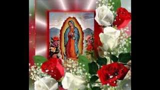 Mi Virgen Ranchera, Mariachi Vargas.