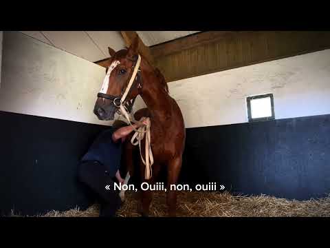 Comment prendre les postérieurs ?