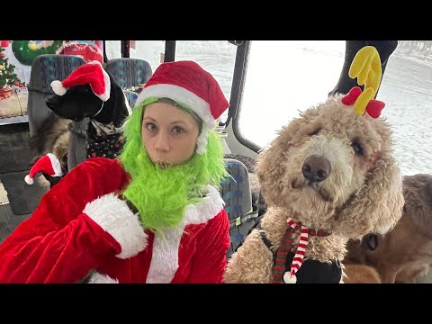 Merry Christmas from AM Crew on the puppy bus