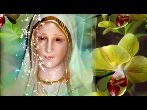 ❤️ Komu Maryjo dzisiaj wierzyć  ❤️