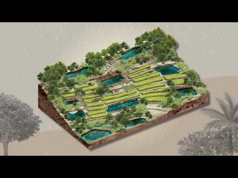 เกษตรทฤษฎีใหม่(3/8): การเก็บน้ำด้วยโคก หนอง นา โมเดล