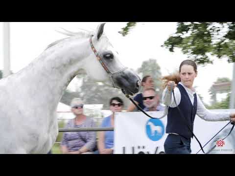 STROHEN 2021 - HIGHLIGHTS