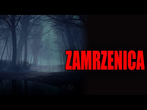 Zamrzenica - Creepypasta od widza [LEKTOR PL]