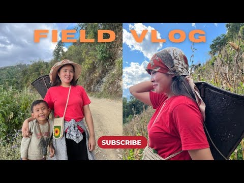 Field Vlog #picnic #vlog #nagaland 