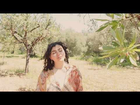 Zara Akopyan - before june (Official Video)