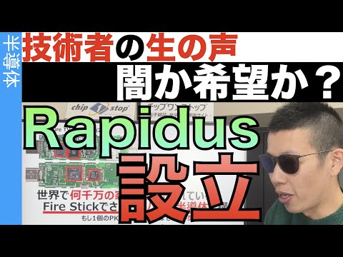 Interview with Japanese Semiconductor Engineers About Rapidus Corporation.