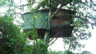 preview picture of video '¡¡INCREIBLE!! Casa en el árbol en San Juancito, cerca de Tegucigalpa, Honduras'