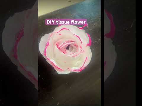 DIY cause I was broad