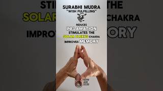 Download lagu Surabhi Yoga Mudra | Benefits | 'Wish-Fulfilling' | Hand Gesture mp3 Download lagu Surabhi Yoga Mudra | Benefits | 'Wish-Fulfilling' | Hand Gesture mp3