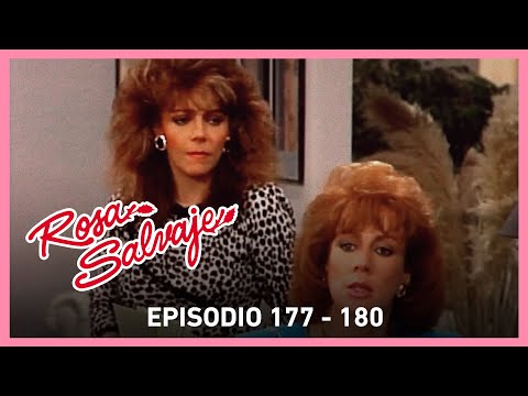 Wild Rose: Rosa's revenge against the Linares family begins | Scene C177 - 180