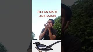 Download lagu Unik Lagi,Suara Kacer Dari Siulan Jari Manis @SumarmanKlik mp3
