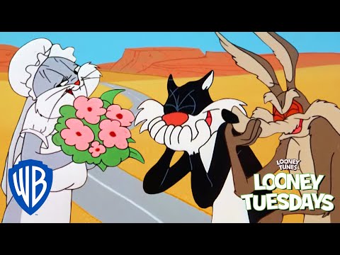 Looney Tuesdays | Who is the Greatest Trickster? | Looney Tunes | WB Kids