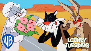 Looney Tuesdays | Who is the Greatest Trickster? | Looney Tunes | WB Kids
