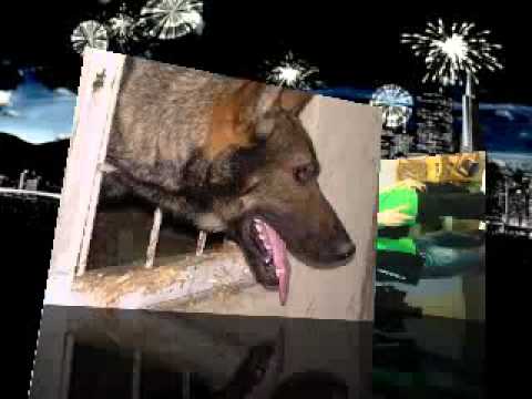 Cabron ft. Alex Velea -Prea repede,prea greu by panti