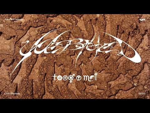 Toro y Moi - CD-R (unerthed) [Official Audio]