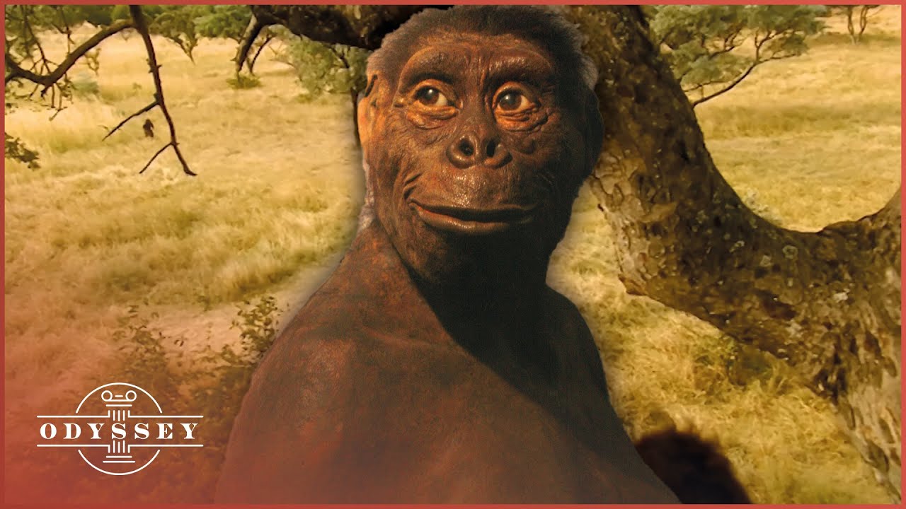 What Did The First Humans Actually Look Like?