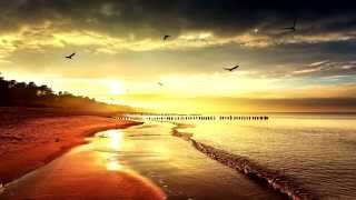 Sunrise by Amberian Dawn Expert Guitar 100% FC