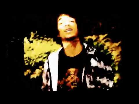 BADMON BENZ - MiSF!T [MORALES FLIP] (VISUALIZER)