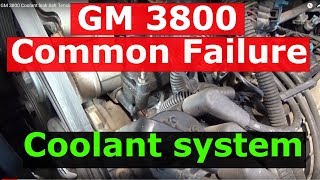 GM 3800 Coolant leak Belt Tensioner  Elbows Water Pump and thermostat replacement