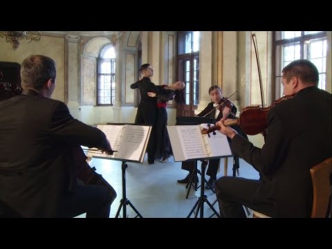 Visszhang: A tánc világnapja 2015. április 29. – Erdélyi Magyar Televízió