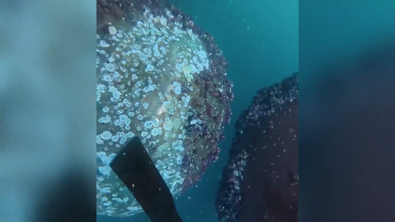 Removing Barnacles from Ship Propeller Underwater