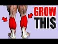 3 Best Exercises for BIG CALFS!