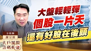 大盤輕輕彈 個股一片天 還有好股在後頭 (圖)