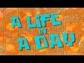 Life In A Day Title Card