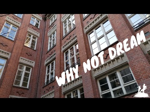 Adam's Nest - Why not dream