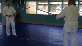 preview picture of video 'Cotati Aikido, 5-29-14, John and Domenic both 1st Kyu demonstrate basic Jo technique.'
