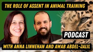 The Role of Assent in Animal Training with Anna Linnehan and Awab Abdel-Jalil