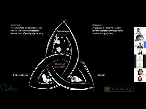 Oncofetal Ecosystem in Hepatocellular Carcinoma: Spatial Localisation and Clinical Implications