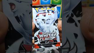 Pokémon White Flare Mandibuzz Illustration Rare #pokemon #pokemoncards #pokemontcg