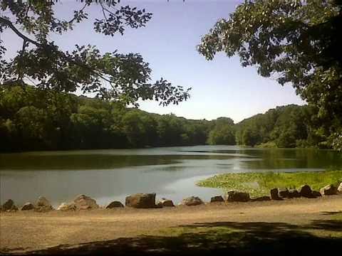 image-Is Rockefeller State Park free?